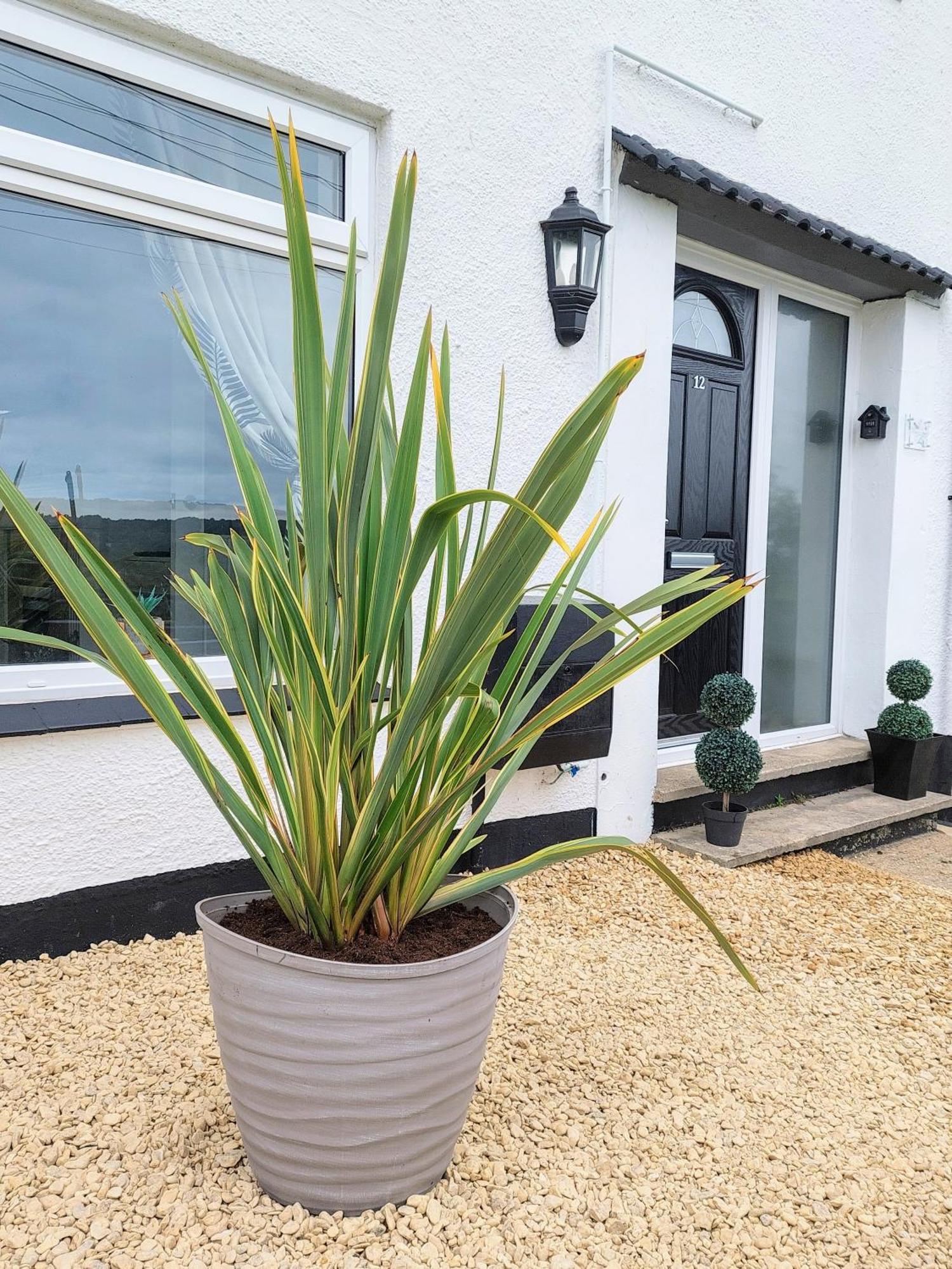 'Serenity In Somerset ' Self Catering House Rental Near Chard , Idea For Workers Chardstock Esterno foto